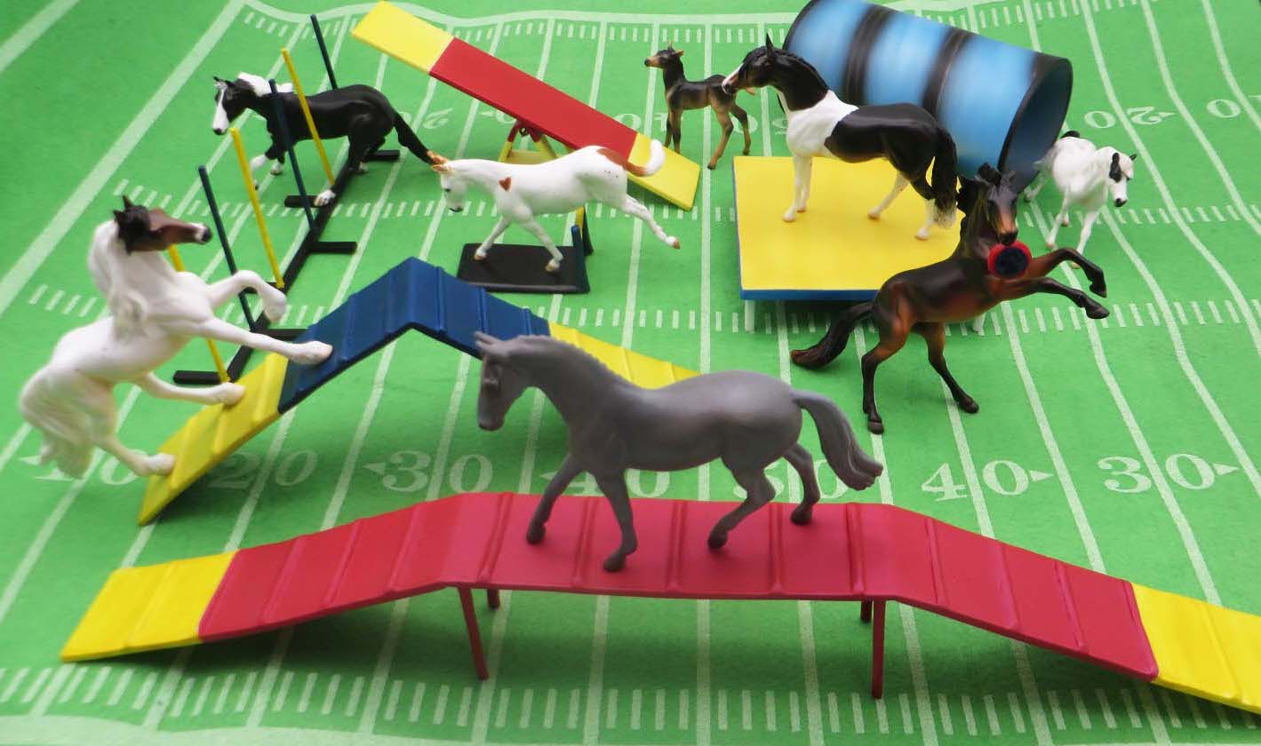 Paws & Claws 2023 Agility Set StoneHorseRef
